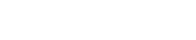 Newton